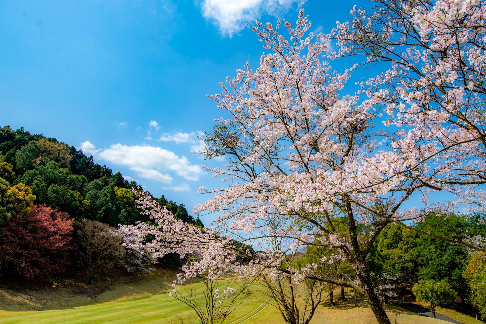Spring
