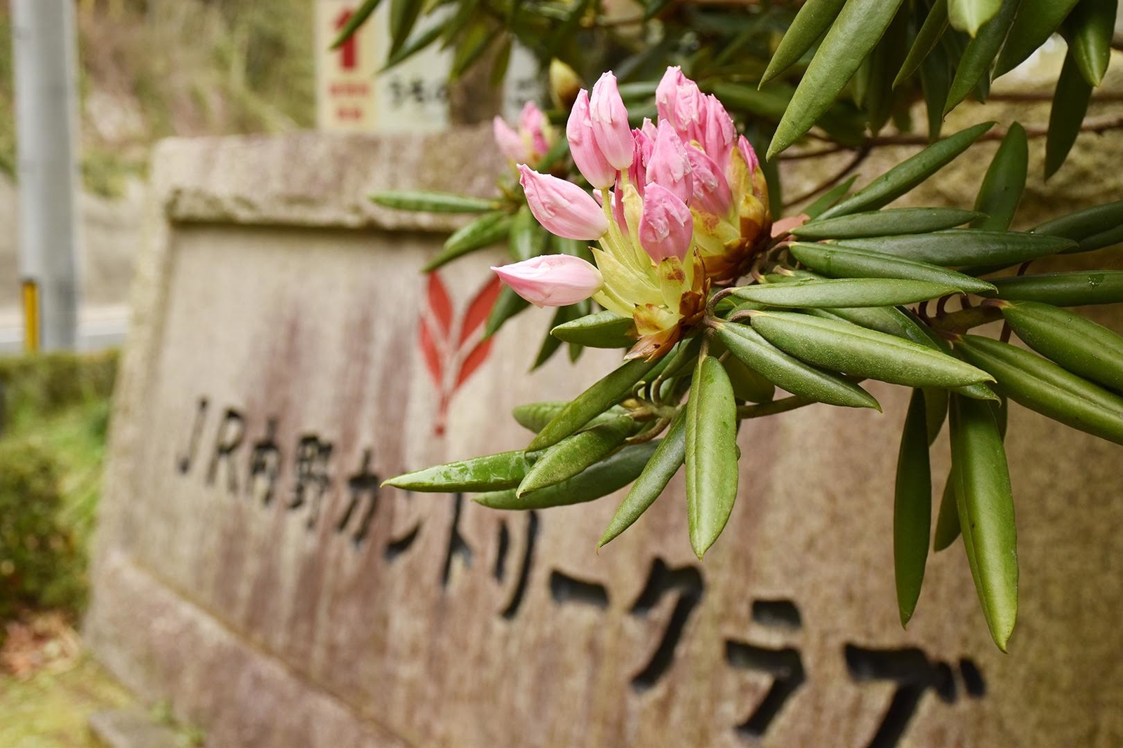 Spring