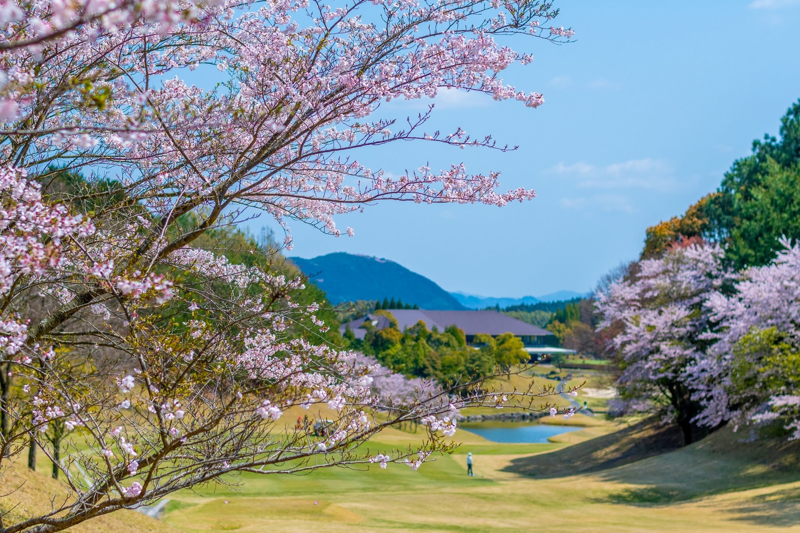 Spring