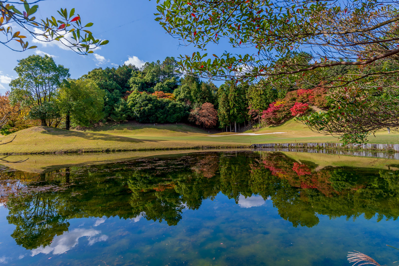Autumn
